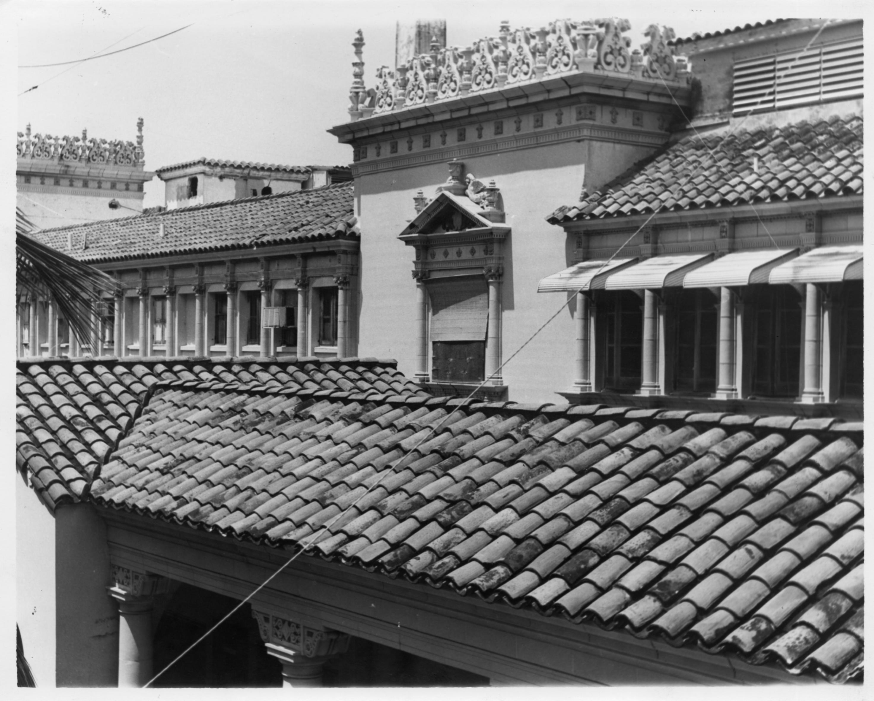 School of Tropical Medicine - 83002297